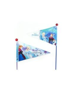 Disney Frost flag