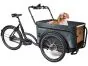 Royal Cargobike Dog