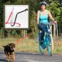 Dog Walk, Cykle med Hunden