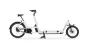 Urban Arrow Cargo XL Flatbed Rohloff