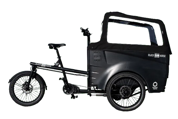 Black Iron Horse Polly 2