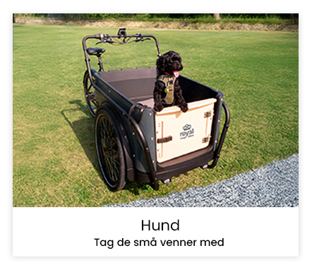 Ladcykler til hunde